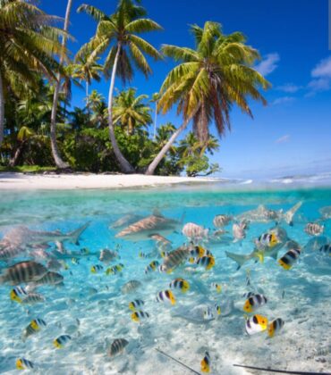 Sea excursions in the Maldives